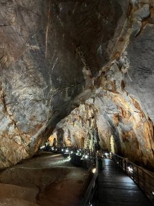 news phong nha letfind.me