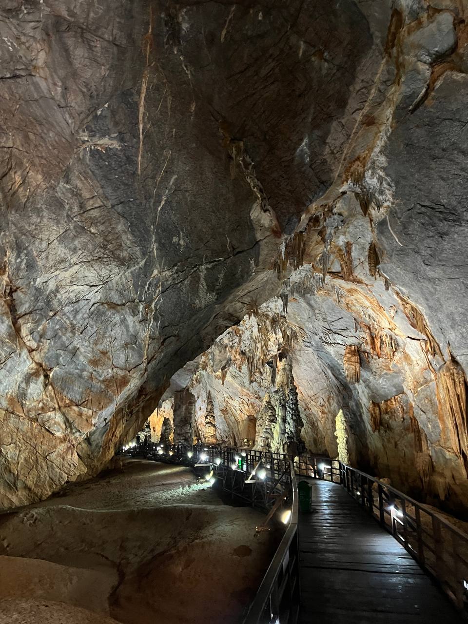 news phong nha letfind.me