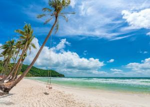Tropical beach scene with leaning palm trees, a wooden swing, white sand, and turquoise waves under a blue sky with clouds.