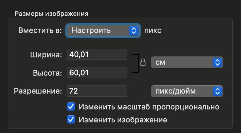 Скриншот окна изменения размеров изображения на Mac: ширина, высота и разрешение фото для e-Visa
