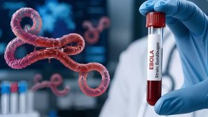 Gloved hand holding a blood sample labeled 'EBOLA Strain: Bundibugyo' in a laboratory, with pink filamentous virus models in the foreground.