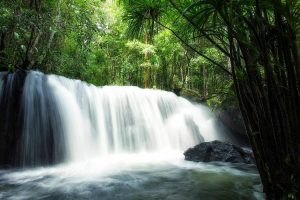 Waterfall cascading over a rocky ledge in a dense tropical forest with sunlit green foliage above.