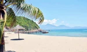 Sunny tropical beach with palm tree, thatched umbrellas, and turquoise water; green hills in the distance.