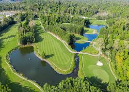 Aerial view of a lush golf course with winding fairways, multiple ponds, and a putting green surrounded by trees.