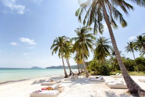 Sunny beach scene with palm trees, white sand, and lounge beds facing the sea.