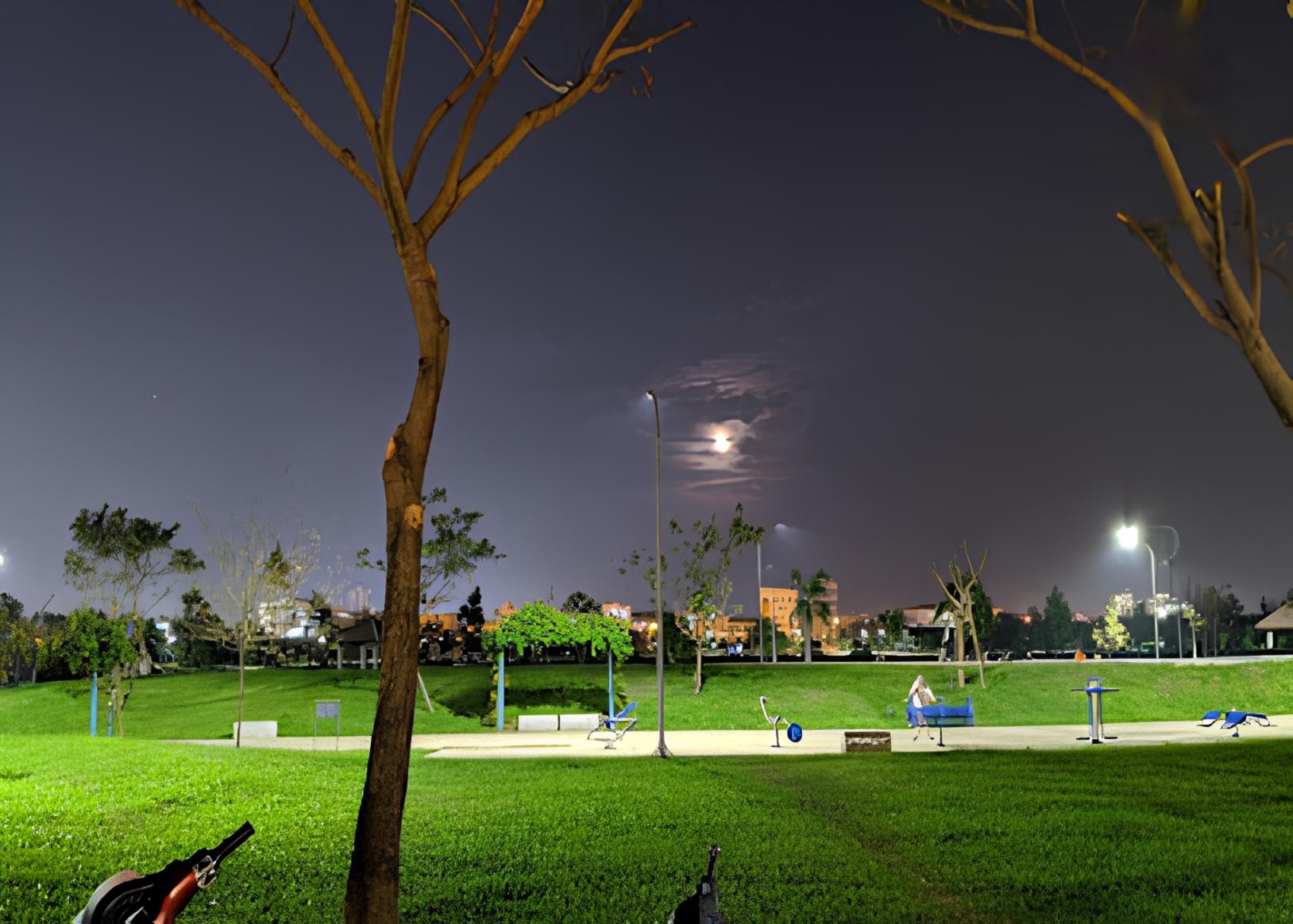 Night view of a park under a moonlit sky with trees, streetlights, and green grass; a few people sit on a bench in the distance.